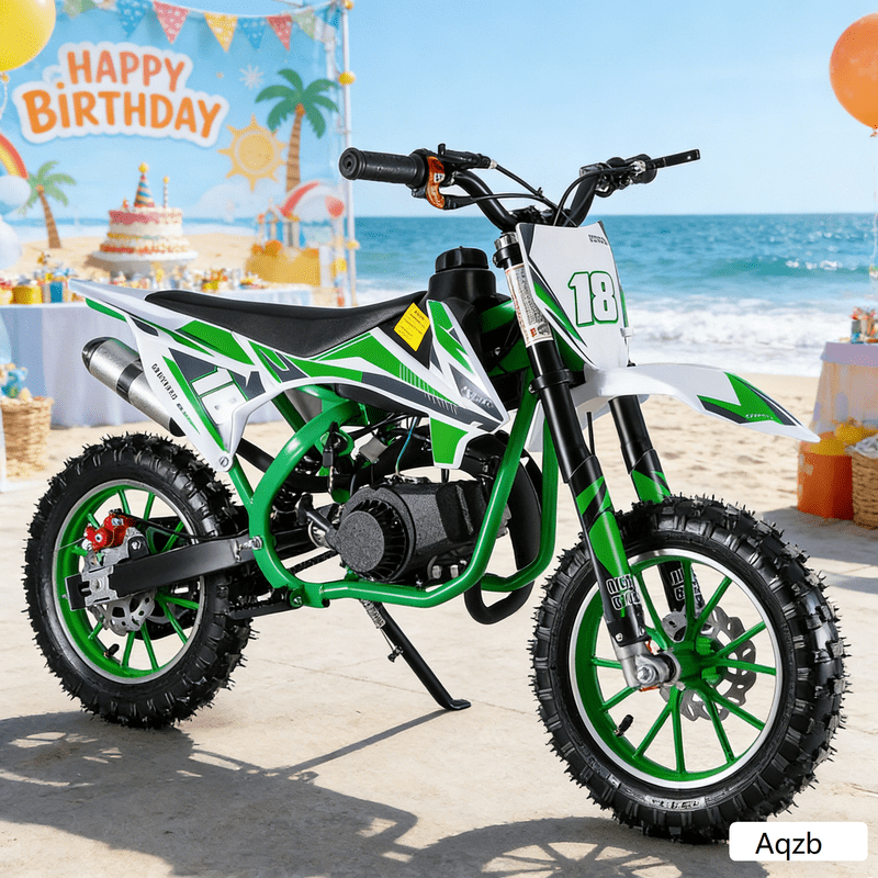 Easy to Start | 49cc Kids Dirt Bike 2 Stroke - Mini Gas Motorcycles - Gas Power Small Dirtbikes - Front Rear Disc Brakes - Shock Absorption Springs Green