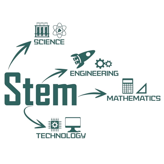 Easy To Apply School Classroom 19" x 28" Vinyl Science Technology Engineering & Mathematics Wall DÃ©cor STEM Lettering Art Design Adhesive Wall Decal Sticker - Home Art Educational Wall Decoration