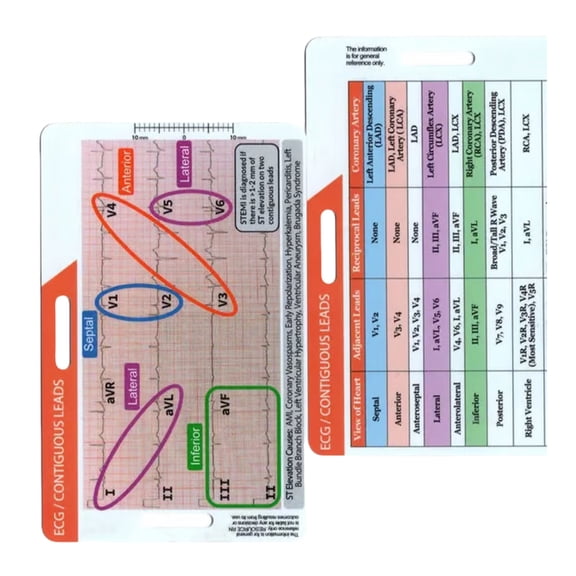 Easy To Carry Rhythm Pocket Card With Clear Marking For Performing Teaching Music Student Beginner Improved Timing Skill