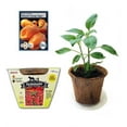 thumbnail image 1 of Easy To Grow Peppers All In One Seed Starter Kit - Includes Pepper Seeds, Coconut Fiber Pot and Coconut Fiber Soil Disc (Habanero), 1 of 3