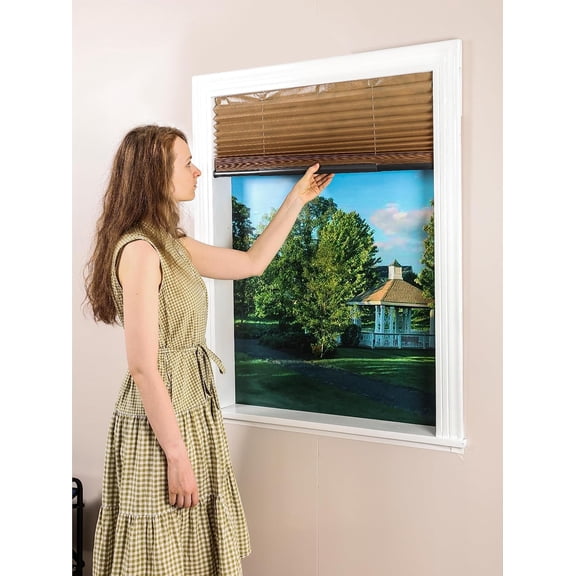 Easy Up & Down Cordless Pleated Window Shades, Light Filtering Fabric Window Blinds, Brown, 2-Pack