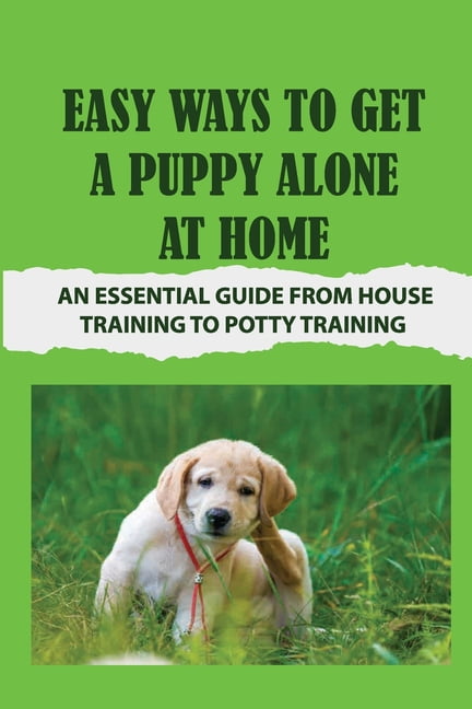 Easy Ways To Get A Puppy Alone At Home : An Essential Guide From House