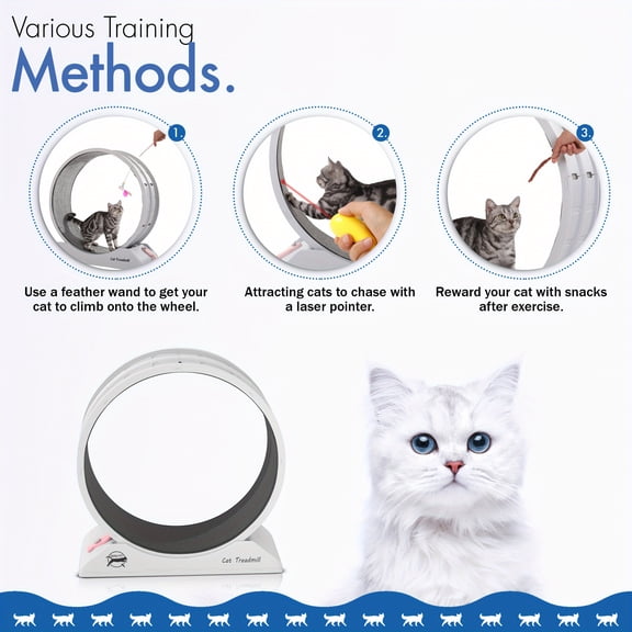 Easy to Install Cat Exercise Wheel for Indoor Fitness and Health, Durable Gray Design Suitable for Most Cats