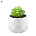 thumbnail image 1 of Easy to Maintain Artificial Potted White Ceramic Potted Mini Modern Decoration Artificial Succulent Potted for Home, 1 of 8