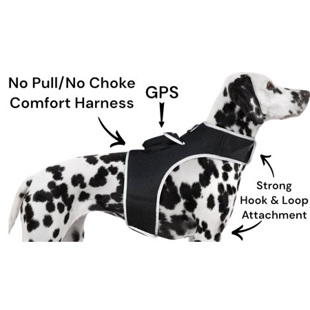 Easy to Use Mini Rechargeable Animal GPS Tracker Realtime Location Security Size:XXL