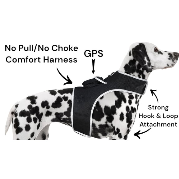 Easy to Use Mini Rechargeable Animal GPS Tracker Realtime Location Security Size:XXL