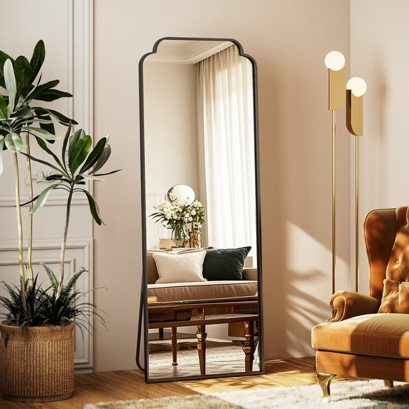 Easy4Home 64"x21" Arched Full Length Mirror Decorative Wall Mounted Mirror with Metal Frame, Black