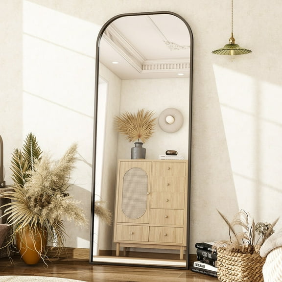 Easy4Home 64"x21" Arched Full Length Mirror Metal Frame Freestanding Mirror Wall-Mounted, Black