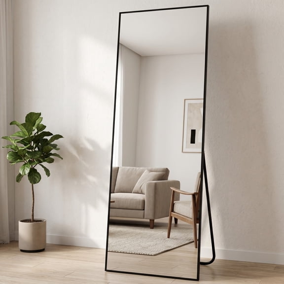 Easy4Home 64"x21" Full Length Mirror Rectangular Standing Floor Mirror, Black