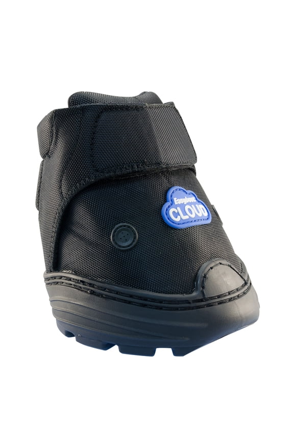 Easyboot Cloud Boot