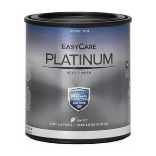 12+ Platinum Paint Color
