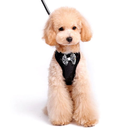 EasyGo Sequins Dog Harness by Dogo - Black - X-Small