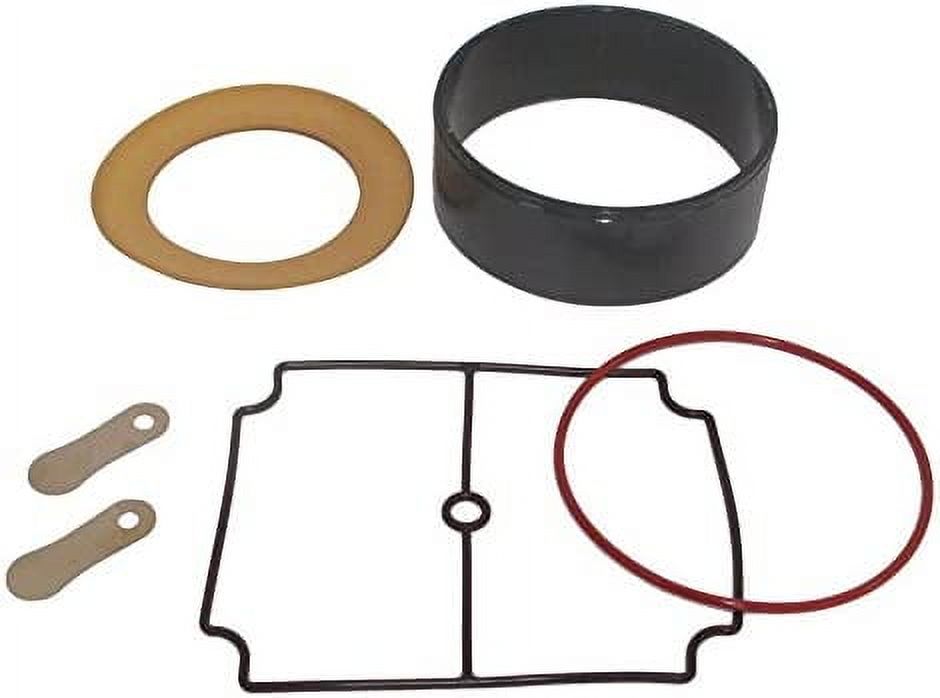 ERP Rocking Piston Compressor Filter ERP25/50 -1/4 npt | Living Water