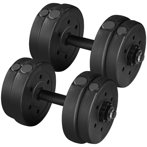 Renwick 33 lb Adjustable Dumbbell Weight Set for Home Gym,Black
