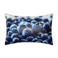 thumbnail image 1 of Easygdp Blueberry Pillowcase 20×30 inches, Throw Pillowcase with Invisible Zipper for Bedroom, Sofa, Office, 1 of 8
