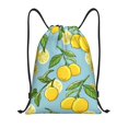 thumbnail image 1 of Easygdp Lemon Drawstring Backpack, Beach Sackpack, Travel Sackpack Lightweight for Sports, Gym, Travel, Swimming - Small, 1 of 9