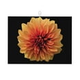 thumbnail image 1 of Easygdp Orange Dalia Microfiber Absorbent Dish Drying Pad,Kitchen Drying Mat,Can Be Hung, Strong Water Absorption Capacity,Quick Drying, 1 of 9
