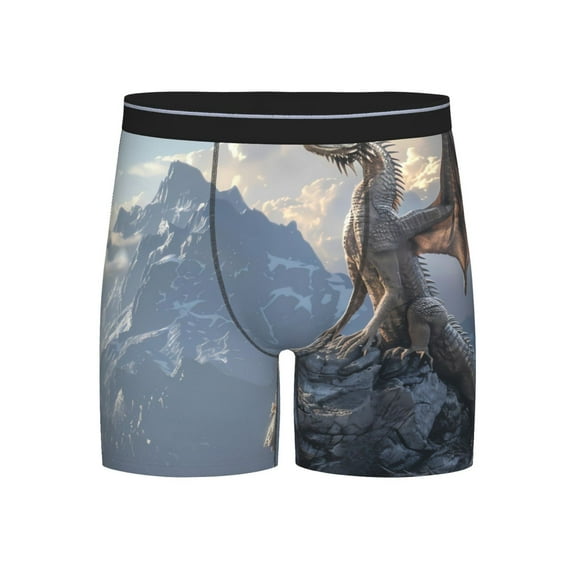 Easygdp Silver Dragon Mountain Peaks Men's Boxer Briefs Men’s Underwear Boxer Briefs for Men
