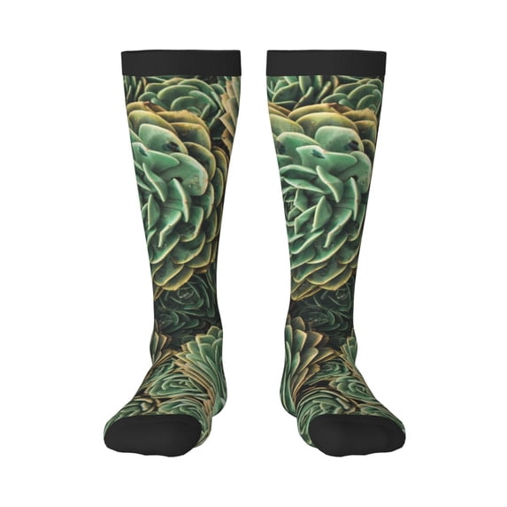 Easygdp Succulents Soccer Socks Sport Knee High Socks Calf Compression Athletic Socks for Men and Women