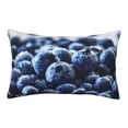 thumbnail image 1 of EasygdpBlueberry Polyester Fiber Double-Sided Pillowcase,Super Soft,Comfortable And Luxurious Pillowcase,Not Easy To Break Or Deform- 14"X20", 1 of 9