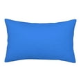 thumbnail image 1 of EasygdpDodgerblue Polyester Fiber Double-Sided Pillowcase,Super Soft,Comfortable And Luxurious Pillowcase,Not Easy To Break Or Deform- 16"X24", 1 of 9