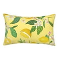 thumbnail image 1 of EasygdpLemon Polyester Fiber Double-Sided Pillowcase,Super Soft,Comfortable And Luxurious Pillowcase,Not Easy To Break Or Deform- 20"X30", 1 of 9