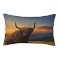 thumbnail image 1 of EasygdpYak Polyester Fiber Double-Sided Pillowcase,Super Soft,Comfortable And Luxurious Pillowcase,Not Easy To Break Or Deform- 16"X24", 1 of 9