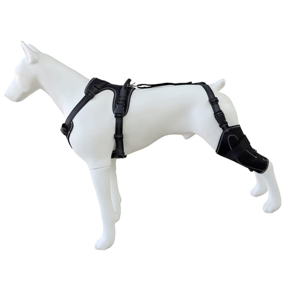 Easyly Clean Dog Leg Wraps With Flexible Size To Prevent Joint Strain During Exercise and Hiking