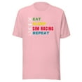 thumbnail image 1 of Eat Sleep Sim Racing Repeat, Car Racing Sim, Unisex, Funny Gaming Esport, Funny Sim Racer, Sim Racing Cockpit, Motorsport Simulation, Car Racing Gamer (Pink, XL), 1 of 1