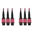 thumbnail image 1 of Tripp Lite by Eaton 40/100/400G Multimode 50/125 OM4 Fiber Optic Cable (3x8F MTP/MPO-PC F/F) LSZH Magenta 30 m (98.4 ft.), 1 of 3