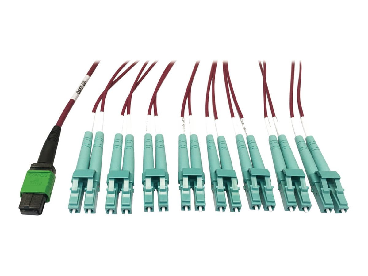 Eaton Tripp Lite Series 400G Multimode 50/125 OM4 Plenum Fiber Optic Breakout Cable, 16F MTP/MPO-APC to (x4) LC Duplex (F/M), Magenta, 3 m - Breakout cable - MTP/MPO/APC multi-mode (F) to LC multi-mode (M) - 3 m - fiber optic - duplex - 50 / 125 micron - OM4 - plenum - black, magenta, green, aqua