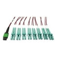 thumbnail image 1 of Eaton Tripp Lite Series 400G Multimode 50/125 OM4 Plenum Fiber Optic Breakout Cable, 16F MTP/MPO-APC to (x4) LC Duplex (F/M), Magenta, 3 m - Breakout cable - MTP/MPO/APC multi-mode (F) to LC multi-mode (M) - 3 m - fiber optic - duplex - 50 / 125 micron - OM4 - plenum - black, magenta, green, aqua, 1 of 4