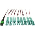 thumbnail image 1 of Tripp Lite Multimode Fiber Optic Breakout Cable 16F MTP/MPO-APC to x8 LC F/M 3M, 1 of 4