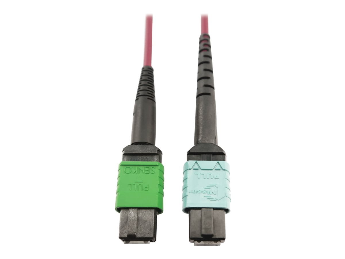 Eaton Tripp Lite Series 400G Multimode 50/125 OM4 Plenum Fiber Optic Cable, 16F MTP/MPO-APC to 24F MTP/MPO-UPC (F/F), Magenta, 3 m - Network cable - MTP/MPO/APC multi-mode (F) to MTP/MPO/UPC multi-mode (F) - 3 m - fiber optic - 50 / 125 micron - OM4 - plenum - black, magenta, green, aqua