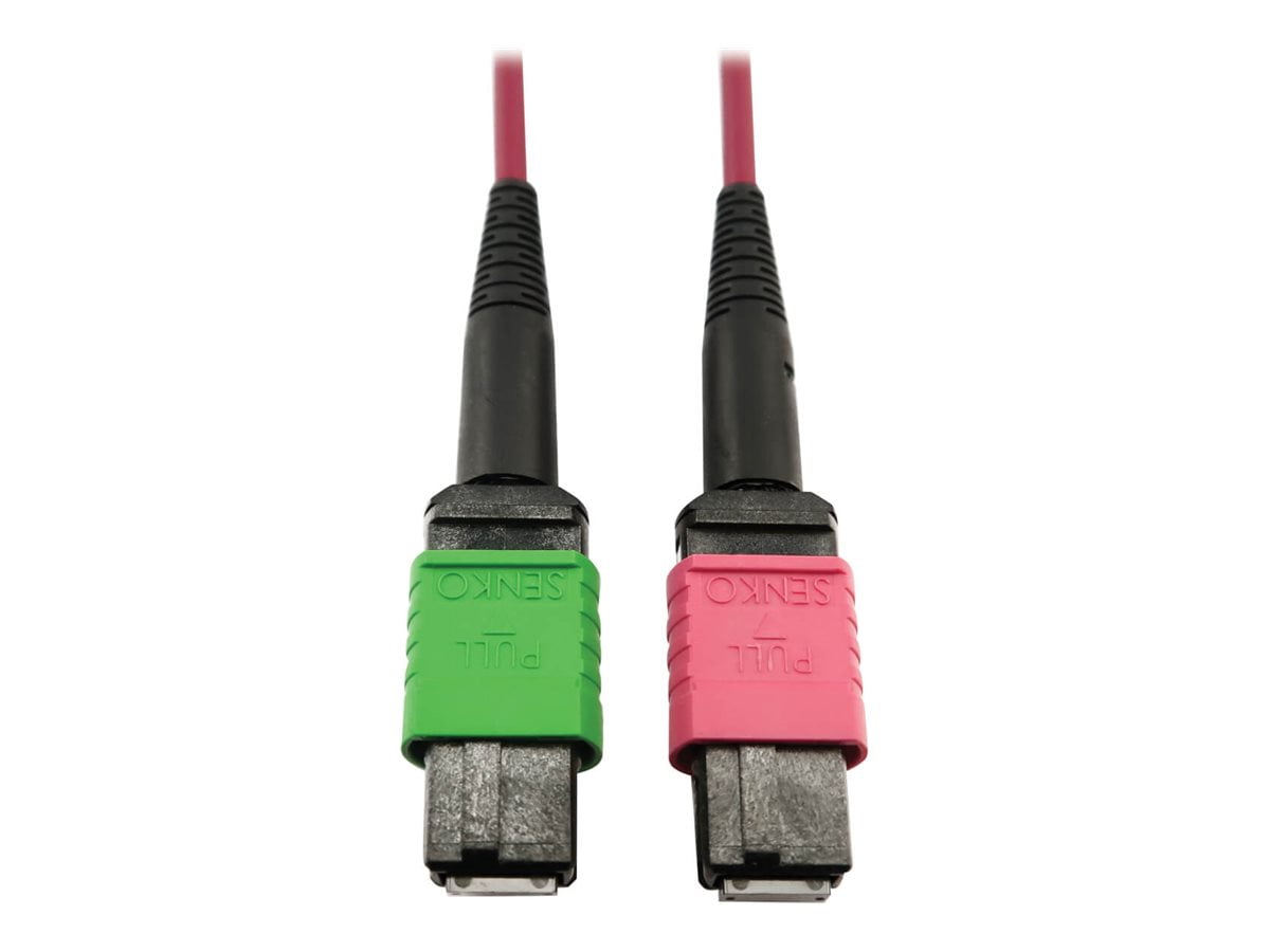 Eaton Tripp Lite Series 400G Multimode 50/125 OM4 Plenum Fiber Optic Cable, 16F MTP/MPO-APC to MTP/MPO-UPC (F/F), Magenta, 1 m - Network cable - MTP/MPO/APC multi-mode (F) to MTP/MPO/UPC multi-mode (F) - 1 m - fiber optic - 50 / 125 micron - OM4 - plenum - black, magenta, green