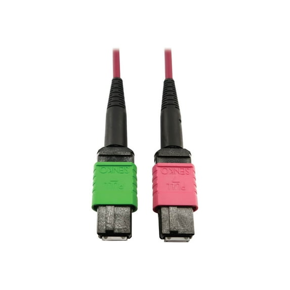 Eaton Tripp Lite Series 400G Multimode 50/125 OM4 Plenum Fiber Optic Cable, 16F MTP/MPO-APC to MTP/MPO-UPC (F/F), Magenta, 1 m - Network cable - MTP/MPO/APC multi-mode (F) to MTP/MPO/UPC multi-mode (F) - 1 m - fiber optic - 50 / 125 micron - OM4 - plenum - black, magenta, green