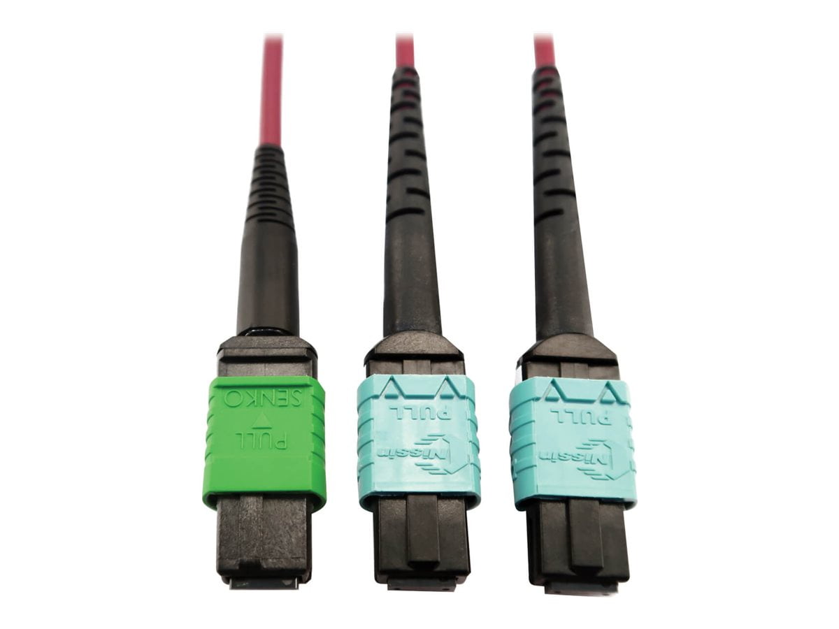 Eaton Tripp Lite Series 400G Multimode 50/125 OM4 Plenum Fiber Optic Cable, 16F MTP/MPO-APC to (x2) 12F MTP/MPO-UPC (F/F), Magenta, 1 m - Network cable - MTP/MPO/APC multi-mode (F) to MTP/MPO/UPC multi-mode (F) - 1 m - fiber optic - 50 / 125 micron - OM4 - plenum - black, magenta, green, aqua