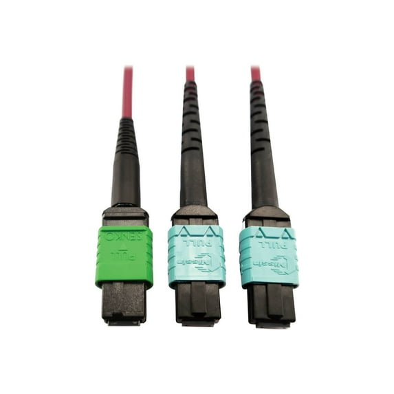 Eaton Tripp Lite Series 400G Multimode 50/125 OM4 Plenum Fiber Optic Cable, 16F MTP/MPO-APC to (x2) 12F MTP/MPO-UPC (F/F), Magenta, 1 m - Network cable - MTP/MPO/APC multi-mode (F) to MTP/MPO/UPC multi-mode (F) - 1 m - fiber optic - 50 / 125 micron - OM4 - plenum - black, magenta, green, aqua