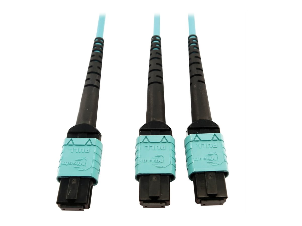 Eaton Tripp Lite Series 400G Multimode 50/125 OM4 Plenum Fiber Optic Cable, 24F MTP/MPO-PC to (x2) 12F MTP/MPO-PC (F/F), Aqua, 5 m - Network cable - MTP/MPO/PC multi-mode (F) to MTP/MPO/PC multi-mode (F) - 5 m - fiber optic - 50 / 125 micron - OM4 - plenum - black, aqua