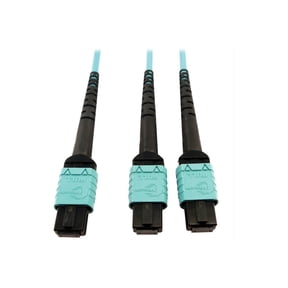 Eaton Tripp Lite Series 400G Multimode 50/125 OM4 Plenum Fiber Optic Cable, 24F MTP/MPO-PC to (x2) 12F MTP/MPO-PC (F/F), Aqua, 5 m - Network cable - MTP/MPO/PC multi-mode (F) to MTP/MPO/PC multi-mode (F) - 5 m - fiber optic - 50 / 125 micron - OM4 - plenum - black, aqua