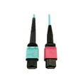 thumbnail image 1 of Eaton Tripp Lite Series 400G Multimode 50/125 OM4 Plenum Fiber Optic Cable, 24F MTP/MPO-UPC to 16F MTP/MPO-UPC (F/F), Aqua, 3 m - Network cable - MTP/MPO/UPC multi-mode (F) to MTP/MPO/UPC multi-mode (F) - 3 m - fiber optic - 50 / 125 micron - OM4 - plenum - black, magenta, aqua, 1 of 5