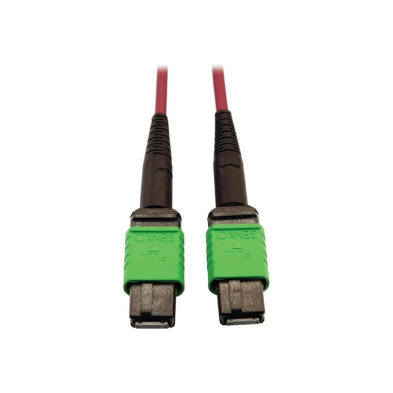 Eaton Tripp Lite Series 400G Multimode 50/125 OM4 Plenum-Rated Fiber Optic Cable, 16F MTP/MPO-APC (F/F), Magenta, 1 m - Network cable - MTP/MPO/APC multi-mode (F) to MTP/MPO/APC multi-mode (F) - 1 m - fiber optic - 50 / 125 micron - OM4 - plenum - black, magenta, green