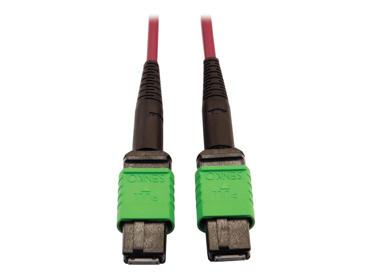 Eaton Tripp Lite Series 400G Multimode 50/125 OM4 Plenum-Rated Fiber Optic Cable, 16F MTP/MPO-APC (F/F), Magenta, 3 m - Network cable - MTP/MPO/APC multi-mode (F) to MTP/MPO/APC multi-mode (F) - 3 m - fiber optic - 50 / 125 micron - OM4 - plenum - black, magenta, green