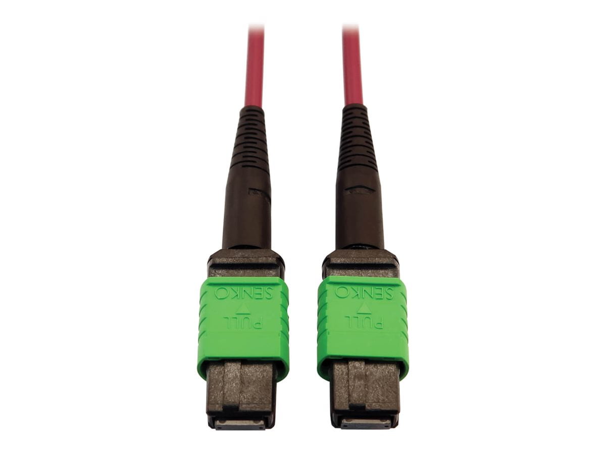 Eaton Tripp Lite Series 400G Multimode 50/125 OM4 Plenum-Rated Fiber Optic Cable, 16F MTP/MPO-APC (F/F), Magenta, 5 m - Network cable - MTP/MPO/APC multi-mode (F) to MTP/MPO/APC multi-mode (F) - 5 m - fiber optic - 50 / 125 micron - OM4 - plenum - black, magenta, green