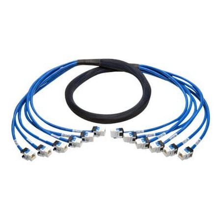 Eaton Tripp Lite Series Cat6a 10G Pre-Terminated Copper Trunk Assembly (6x RJ45 F/F), Blue, 10 ft. (3.05 m) - Network cable - RJ-45 (F) to RJ-45 (F) - 10 ft - UTP - CAT 6a - blue