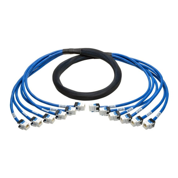 Eaton Tripp Lite Series Cat6a 10G Pre-Terminated Copper Trunk Assembly (6x RJ45 F/F), Blue, 6 ft. (1.83 m) - Network cable - RJ-45 (F) to RJ-45 (F) - 6 ft - UTP - CAT 6a - solid - blue