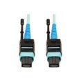 thumbnail image 1 of Eaton Tripp Lite Series MTP/MPO Patch Cable with Push/Pull Tab Connectors, 100GBASE-SR10, CXP, 24 Fiber, 100Gb OM3 Plenum-rated - Aqua, 3M (10 ft.) - Patch cable - MTP/MPO multi-mode (F) to MTP/MPO multi-mode (F) - 3 m - fiber optic - simplex - 50 / 125 micron - OM3 - plenum - aqua, 1 of 3