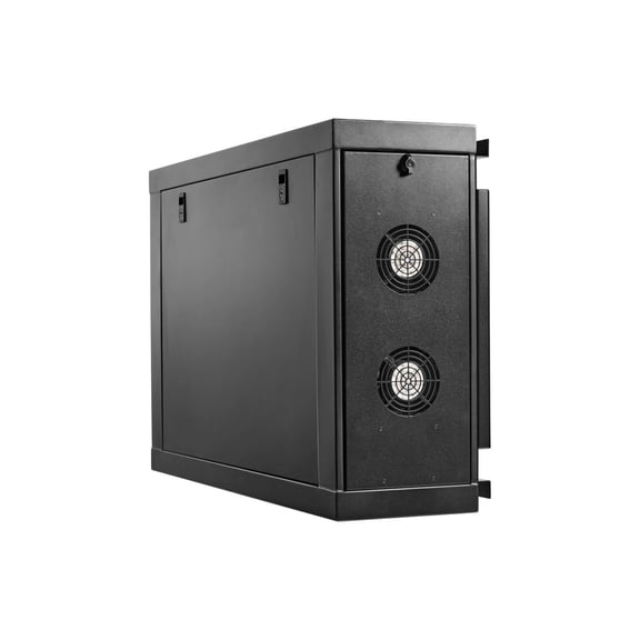 Eaton Tripp Lite Series SmartRack 4U Low-Profile Side-Mount Wall-Mount Mini Rack Enclosure, Black