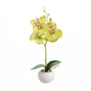 Eattic Clearance Simulated Plant Bonsai Indoor Butterfly Orchid Bonsai Plants Elegance Tranquilit Artificial Flowers for Outdoors Green