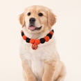 thumbnail image 1 of EazyTech Halloween Pet Collar for Cats and Dogs with Pumpkin Bells, Festive Elastic Soft Adjustable Costume Accessory for Small Medium Large Pets, 1 of 6